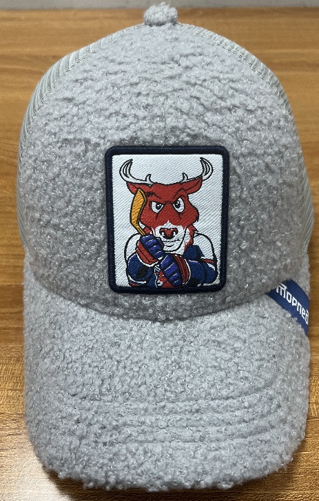 HC Torpedo Cap gray2024.07