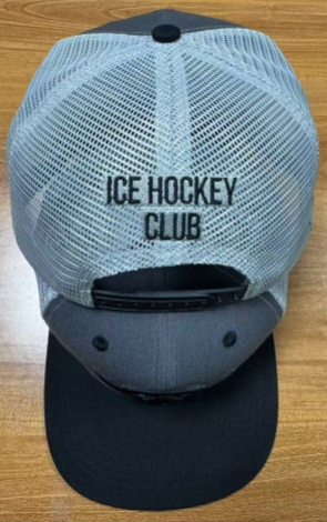 Snapback HC Avtomobilist grey grid 22.04.25