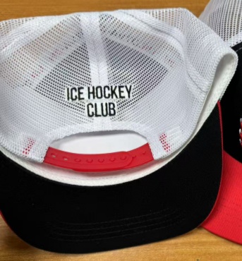 Snapback HC Avtomobilist white grid 22.04.25