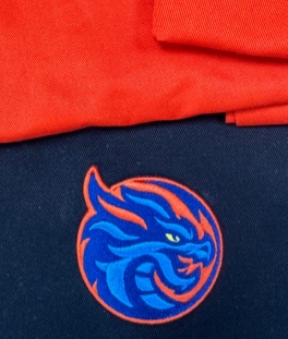 Cap HC Shanghai Dragons colors 25.10.08