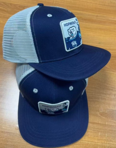 Snapback HC Norilsk grey setka 25.12.01