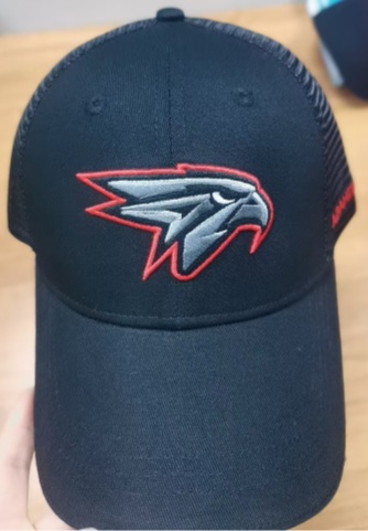 Cap HC Avangard 2 2026.05.25