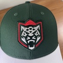 Cap HC Ak Bars+Win Line mini