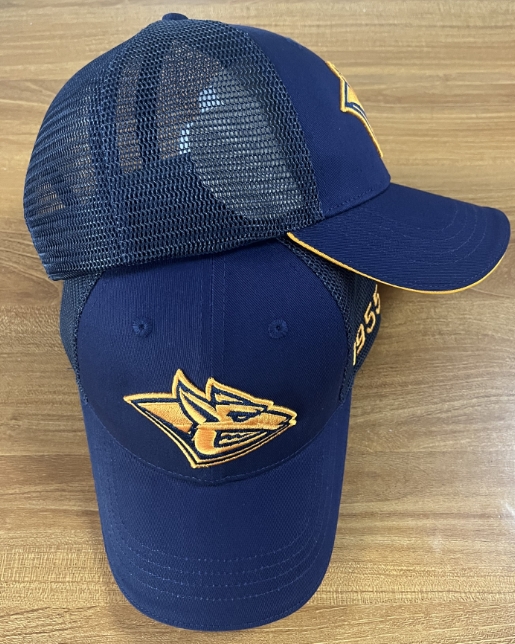 cap hk metallyrg blue 1