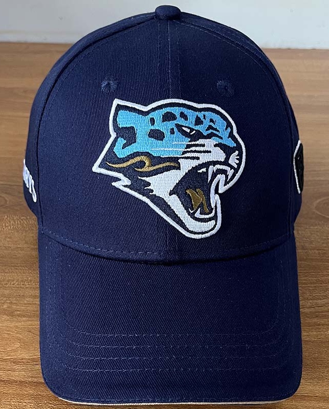 Cap HC Barys blue 2 23.11.13