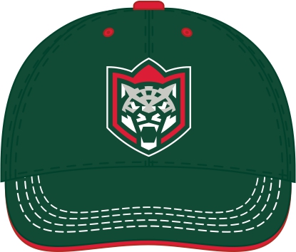 Cap HC Ak Bars dark green bukva