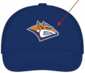 cap hk metallyrg blue 2