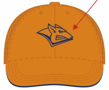 cap hk metallyrg orange2