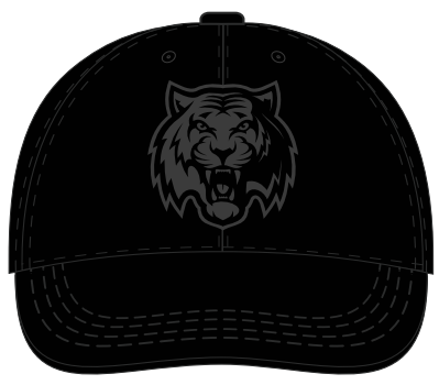 HC Amur cap 2  2026.06.02